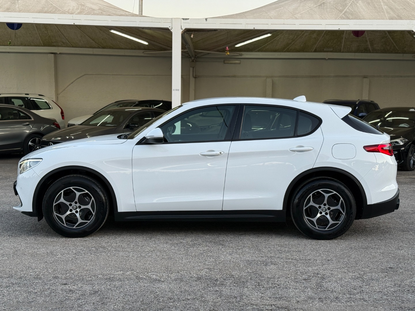 Stelvio 2.2 T.d. 190 CV AT8 Q4 Sup. Bus. - immagine 4