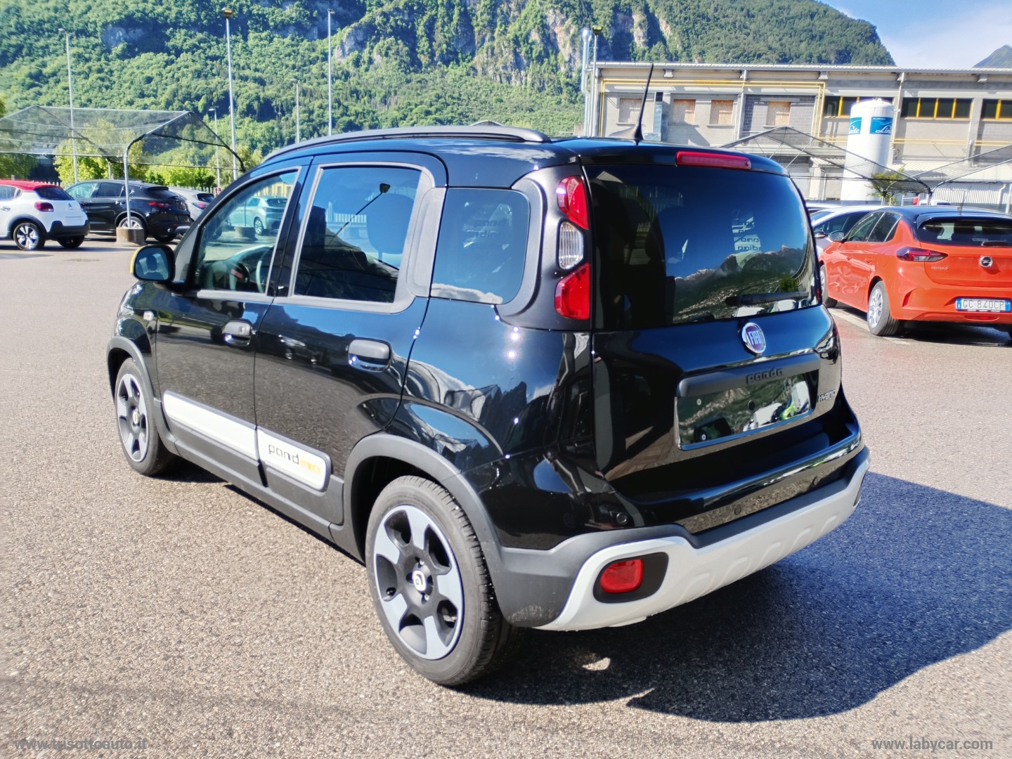 Panda 1.0 FireFly Hybrid 70CV Pandina VARI COLORI - immagine 4