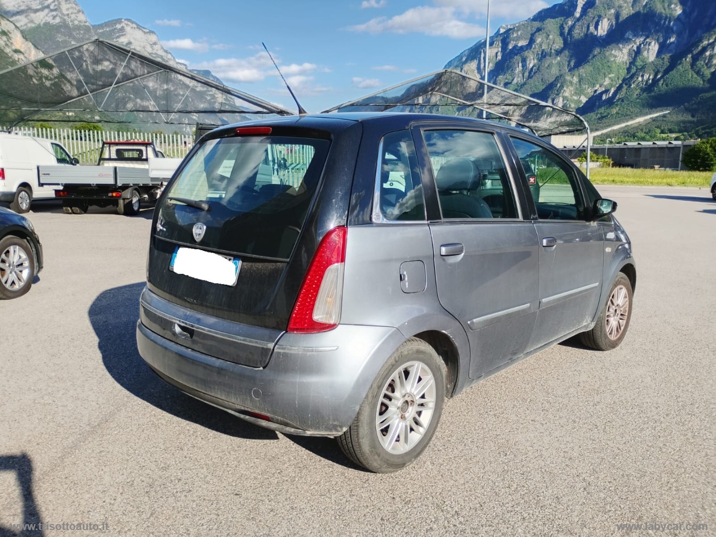 Musa 1.4 BZ/GPL Oro - immagine 4