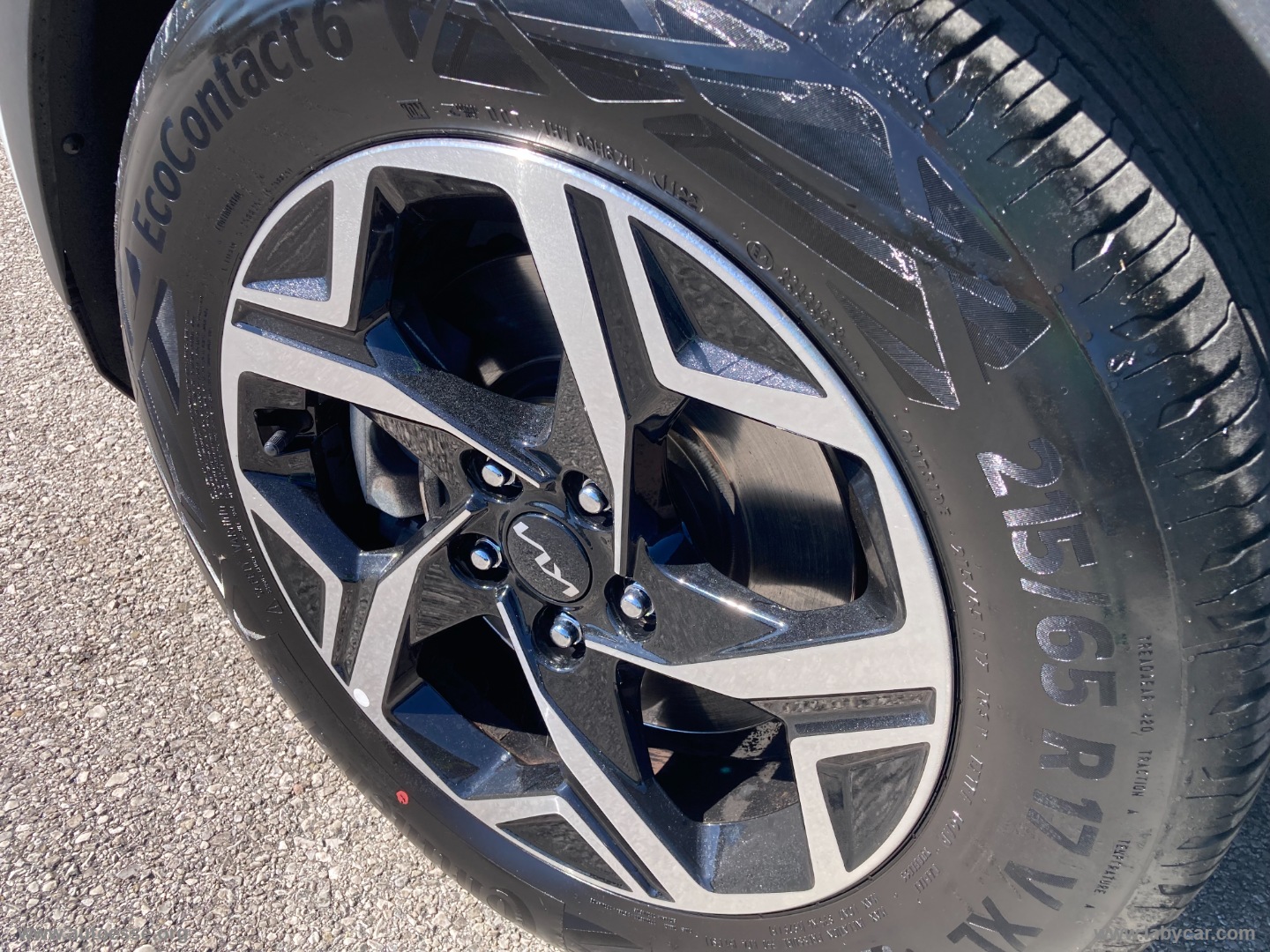 Sportage 1.6 CRDi MHEV Business - immagine 4