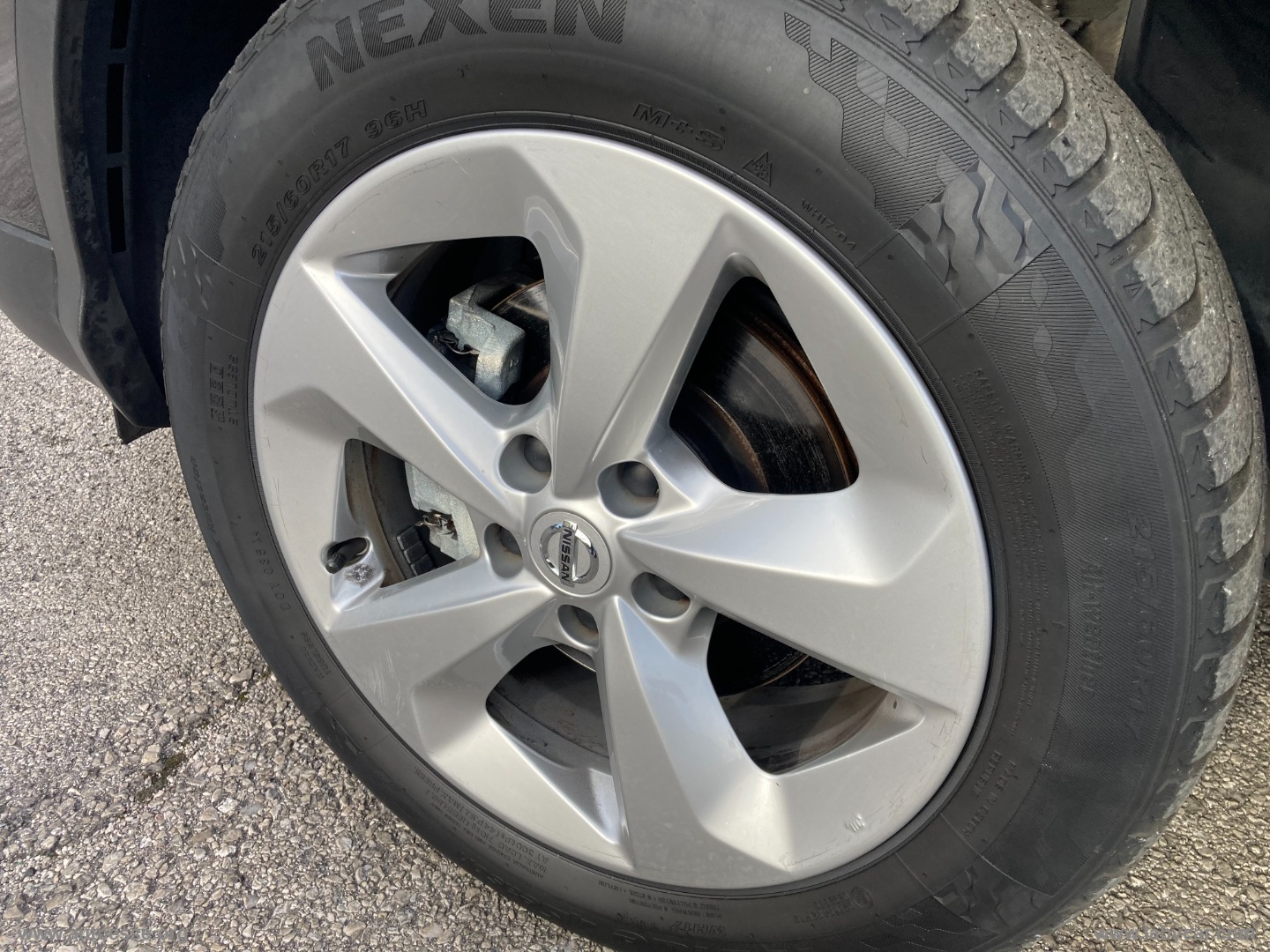 Qashqai 1.5 dCi 115 CV Business - immagine 4