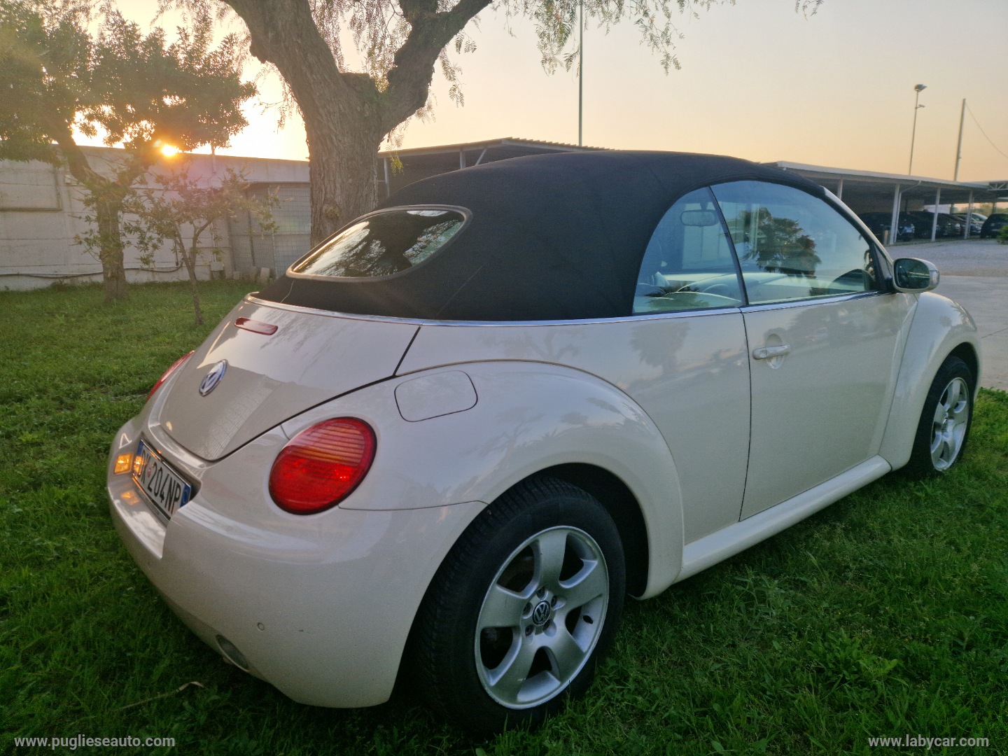 New Beetle 1.6 Cabrio MOTORE NUOVO - immagine 4