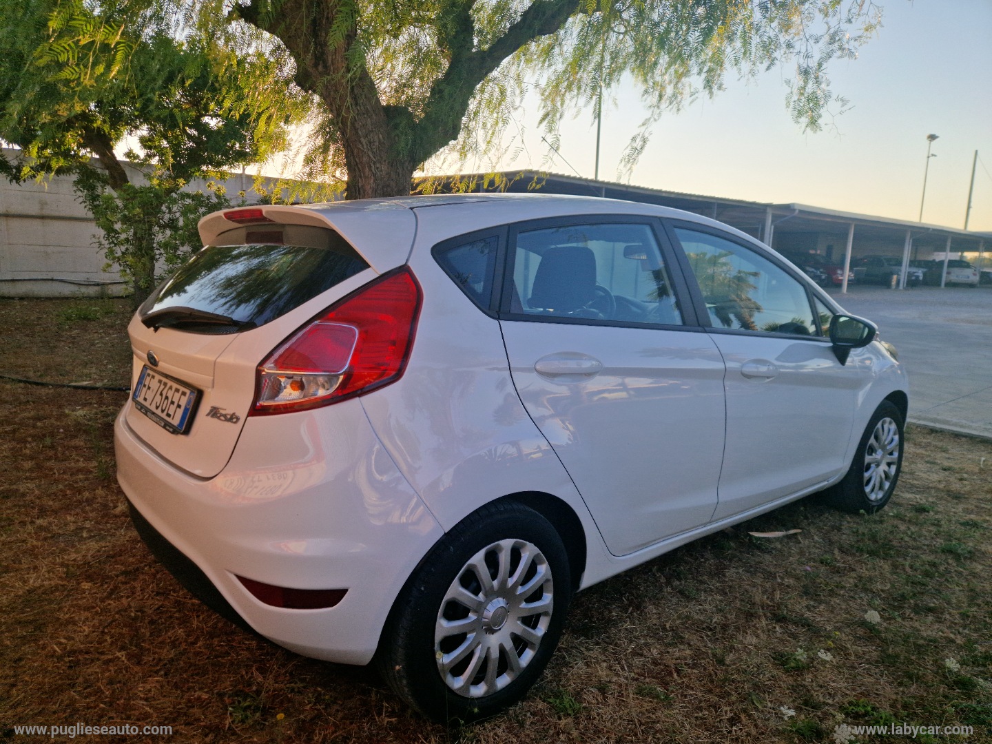 Fiesta 1.5 TDCi 75 CV 5p. - immagine 4