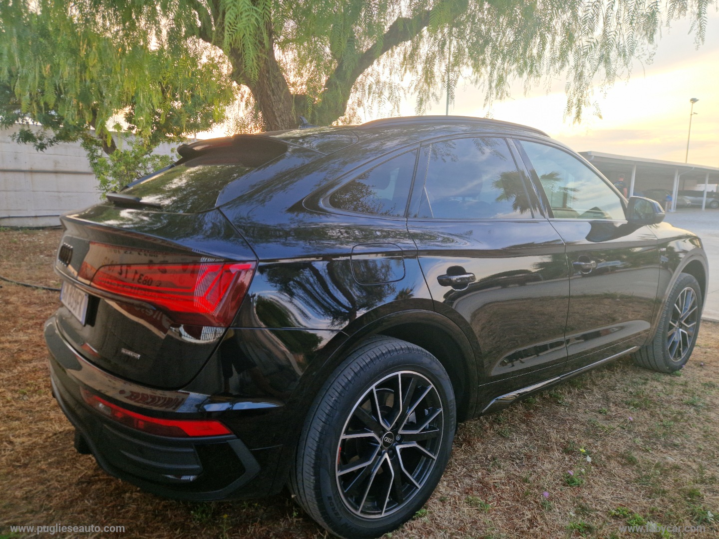 Q5 SPB 40 TDI quattro S tronic S line TETTO - immagine 4