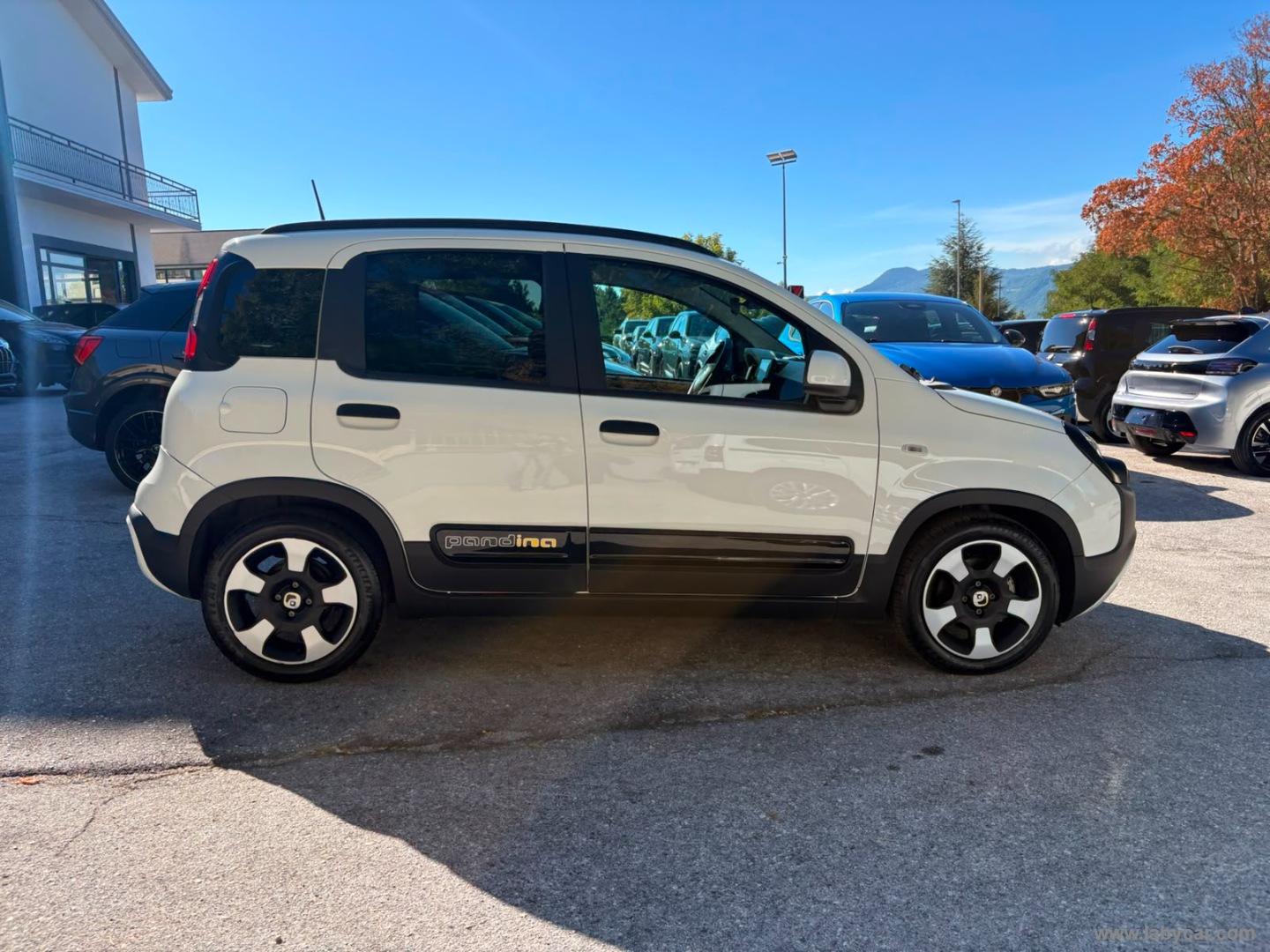 Fiat Panda 1.0 FireFly S&S Hybrid Pandina - Immagine 4