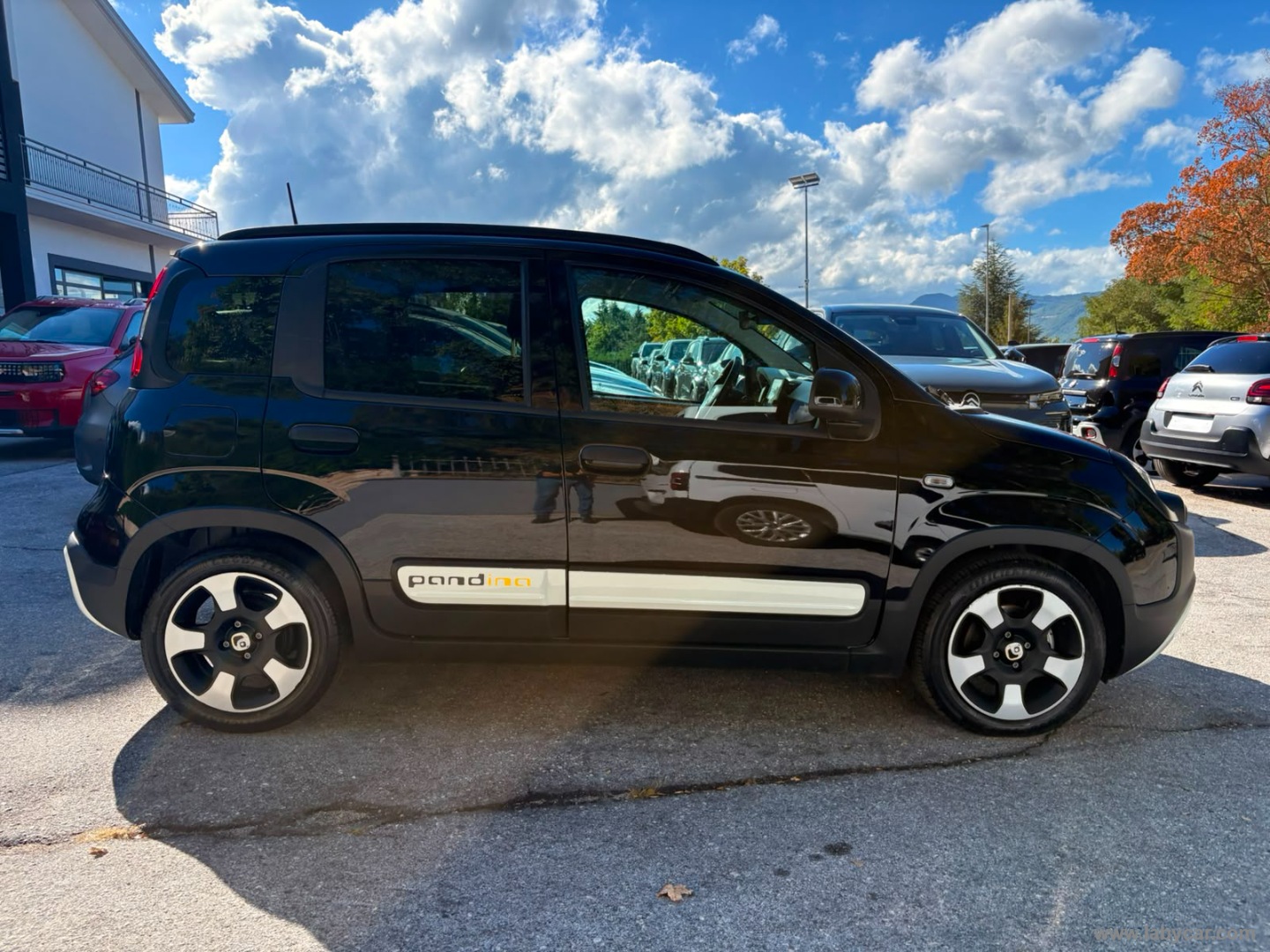 Fiat Panda 1.0 FireFly S&S Hybrid Pandina - Immagine 4