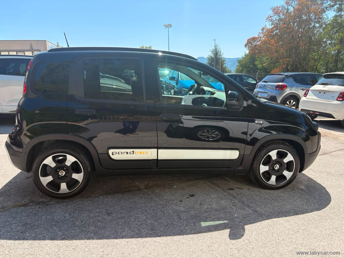 Fiat Panda 1.0 FireFly S&S Hybrid Pandina - Immagine 4