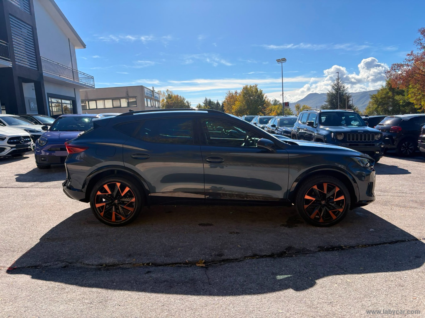 CUPRA Formentor 1.5 Hybrid DSG Business - Immagine 4
