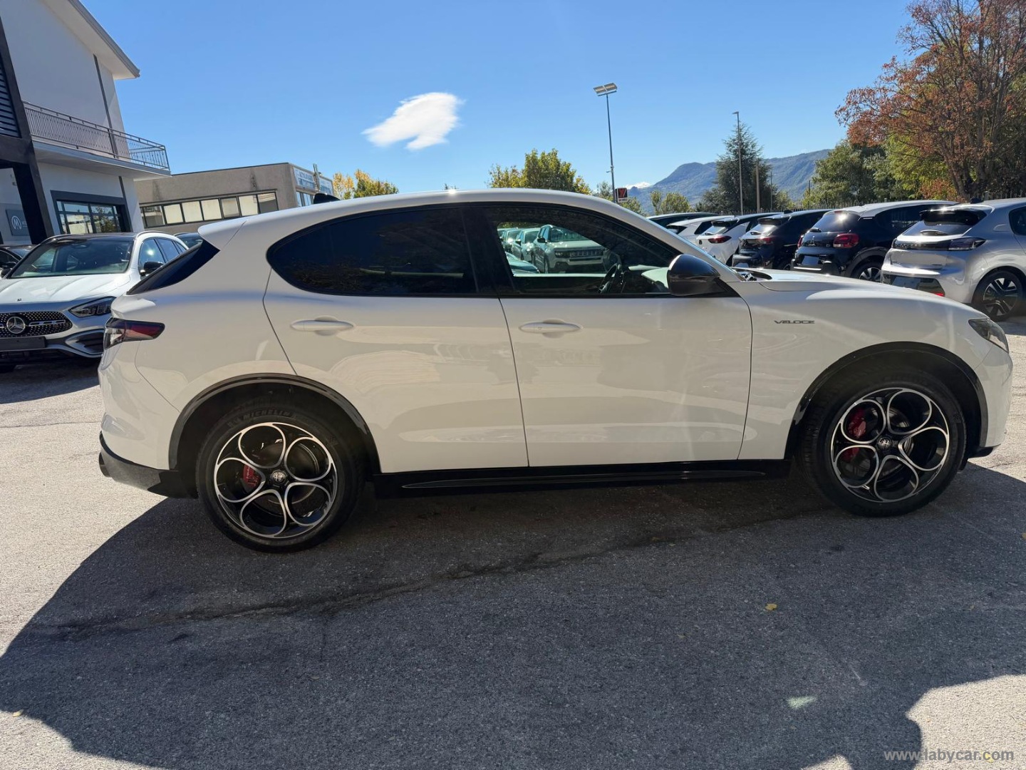 Alfa Romeo Stelvio 2.2 T.diesel 210CV AT8 Q4 Veloce - Immagine 4