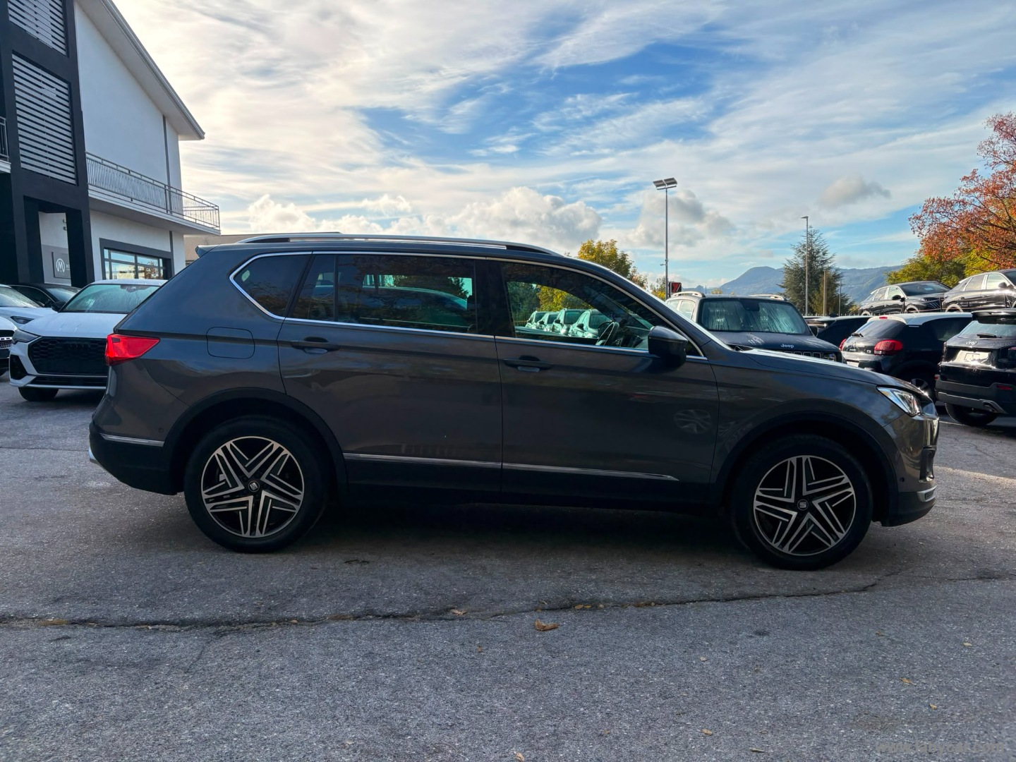 SEAT Tarraco 2.0 TDI 190CV 4Dr. DSG XCELLENCE - Immagine 4