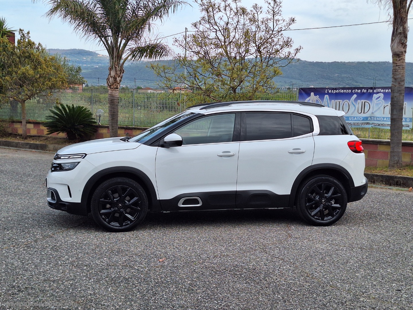 C5 Aircross BlueHDi 130 S&S EAT8 Shine - immagine 4