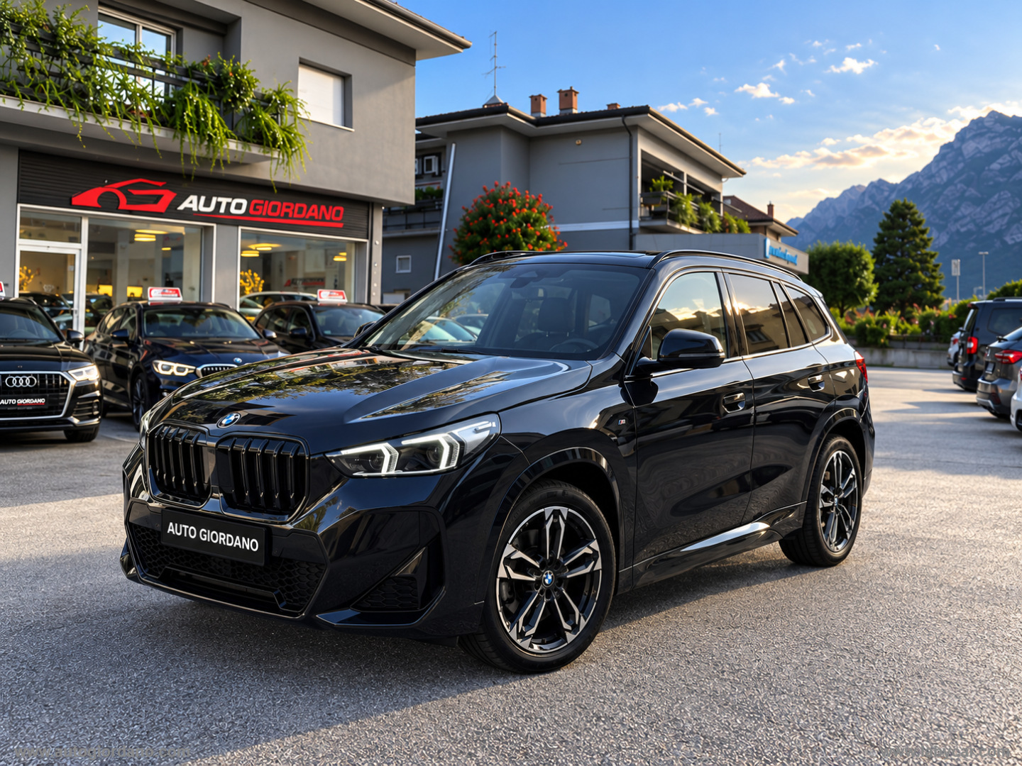 X1 sDrive 18d Msport Pro - immagine 4