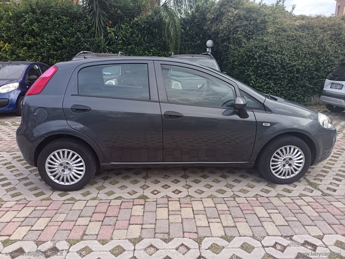 Punto 1.4 8V 5p. Easypower Street - immagine 4