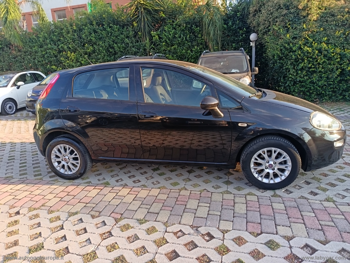 Punto 1.2 8V 5p. LOUNGE POSS. IMPIANTO GPL - immagine 4