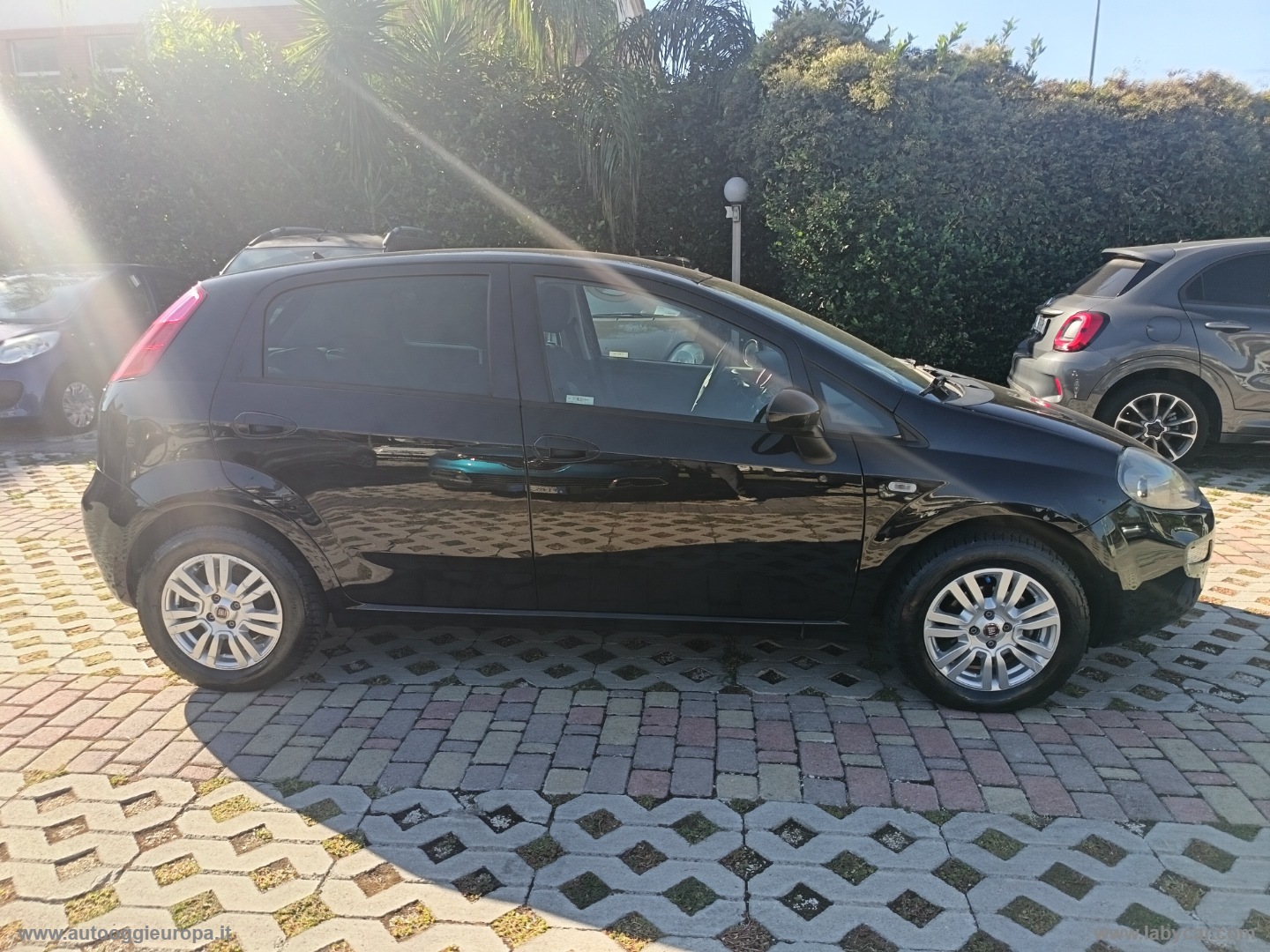 Punto 1.4 8V 5p. Easypower Lounge - immagine 4