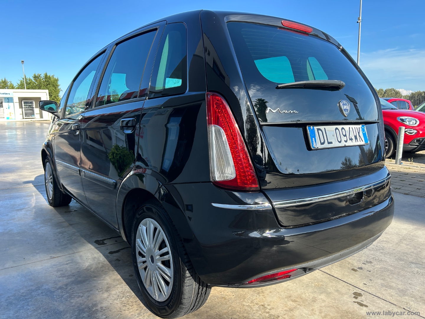 Musa 1.4 Oro - immagine 4