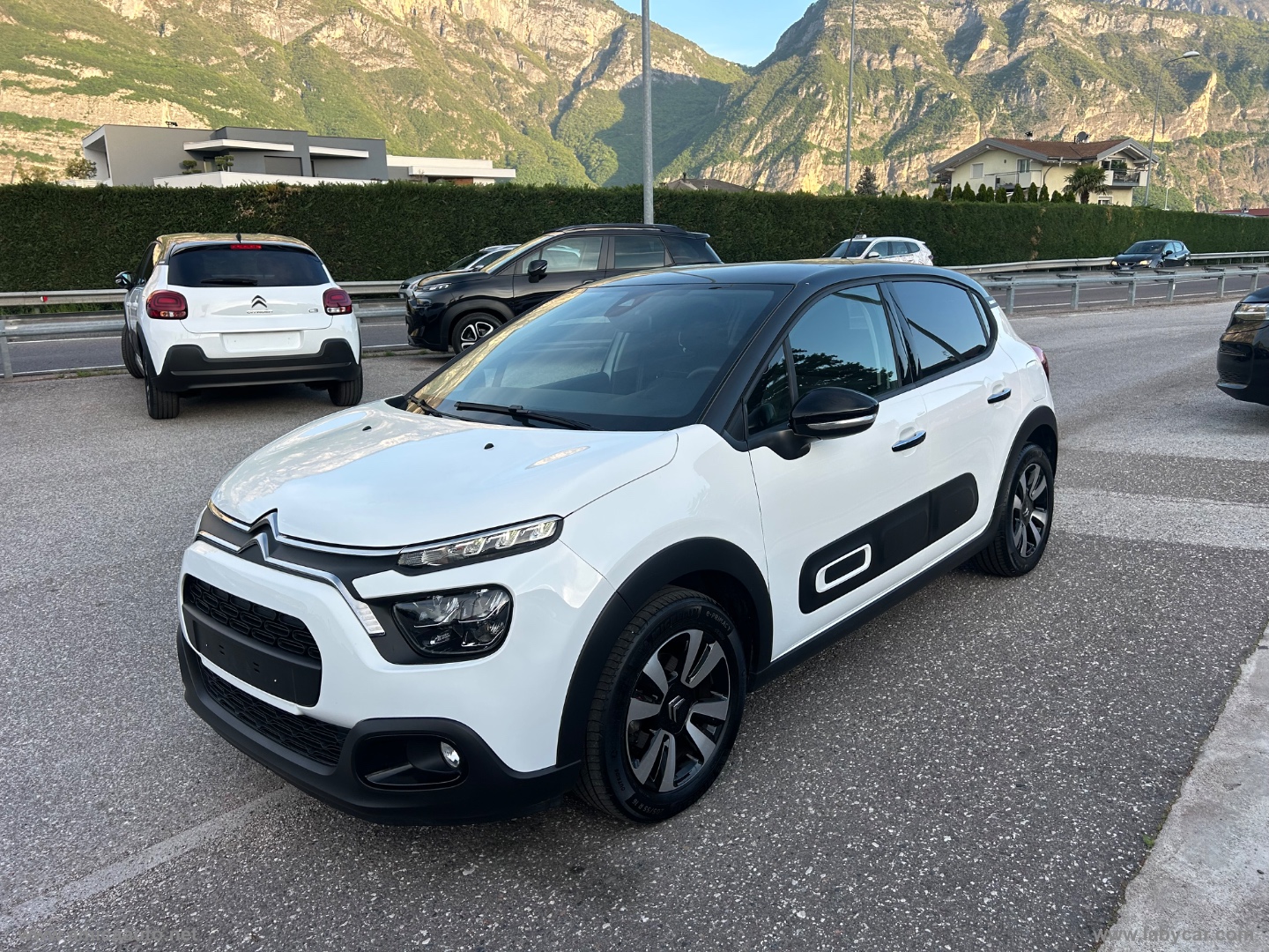 C3 PureTech 83 S&S Shine VERNICE BICOLORE - BIANCO/TETTO NERO - immagine 4