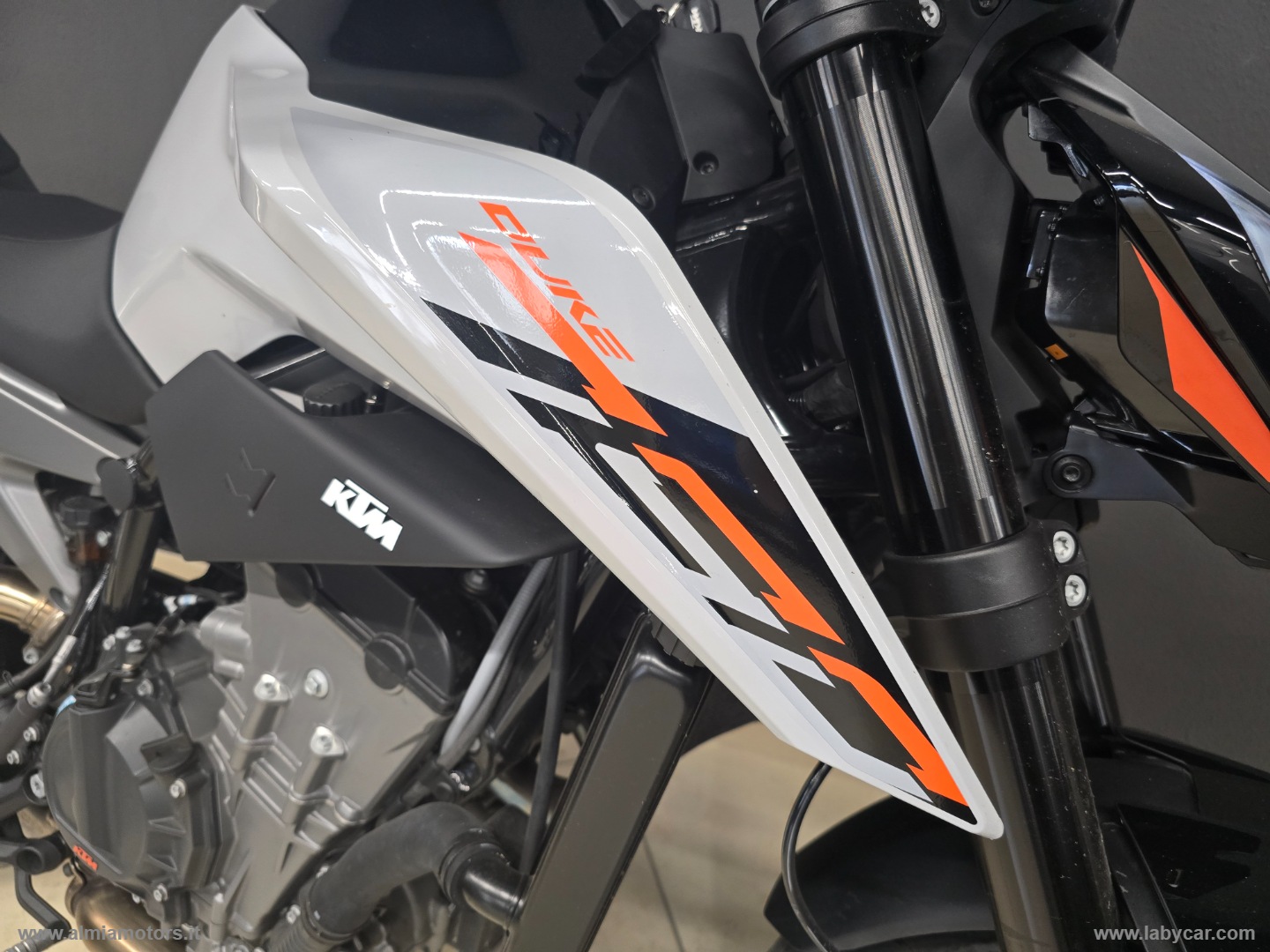 790 DUKE L - immagine 4