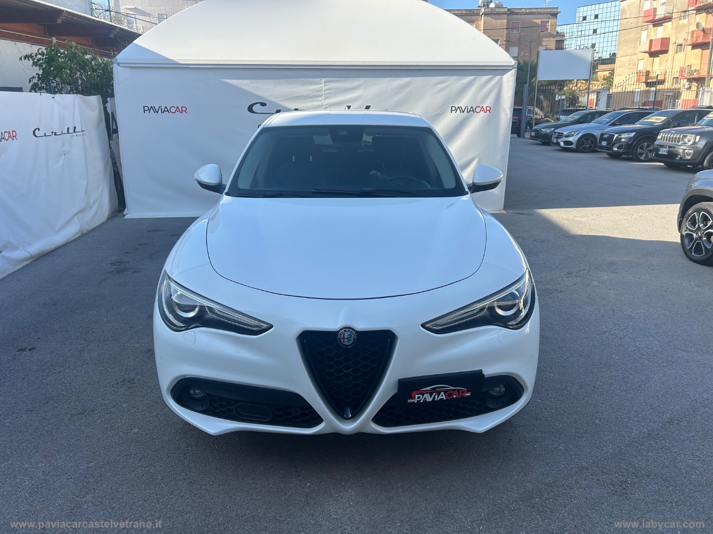 Stelvio 2.2 T.diesel 210 CV AT8 Q4 Sp.Ed - immagine 4