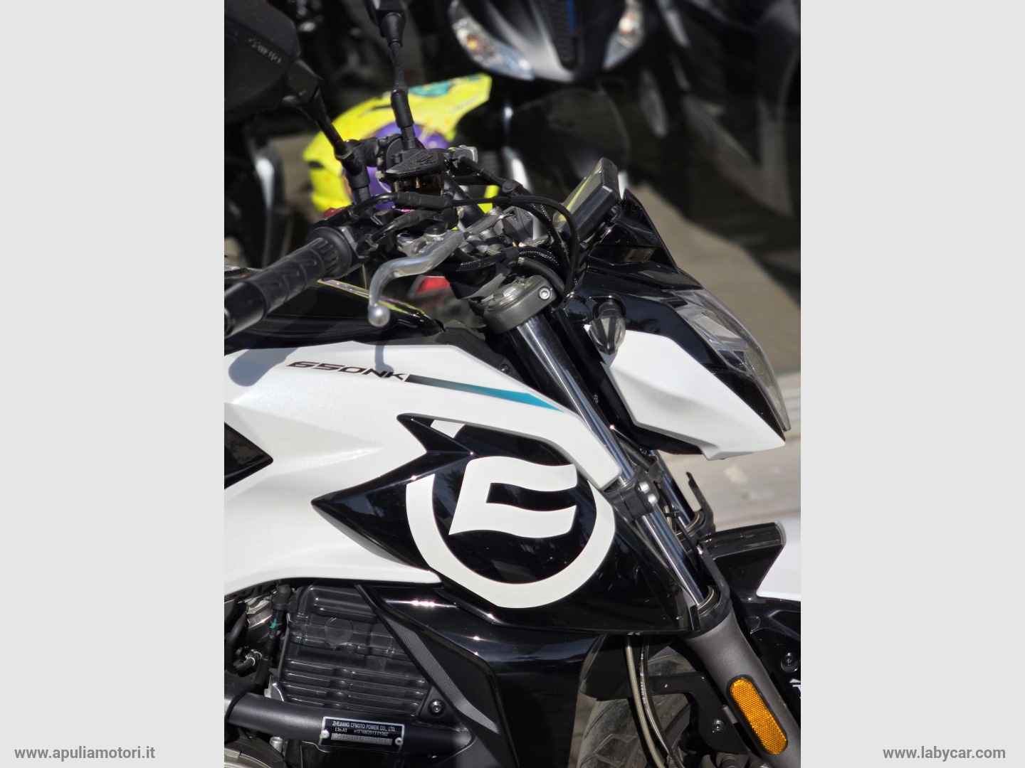 650NK - immagine 4