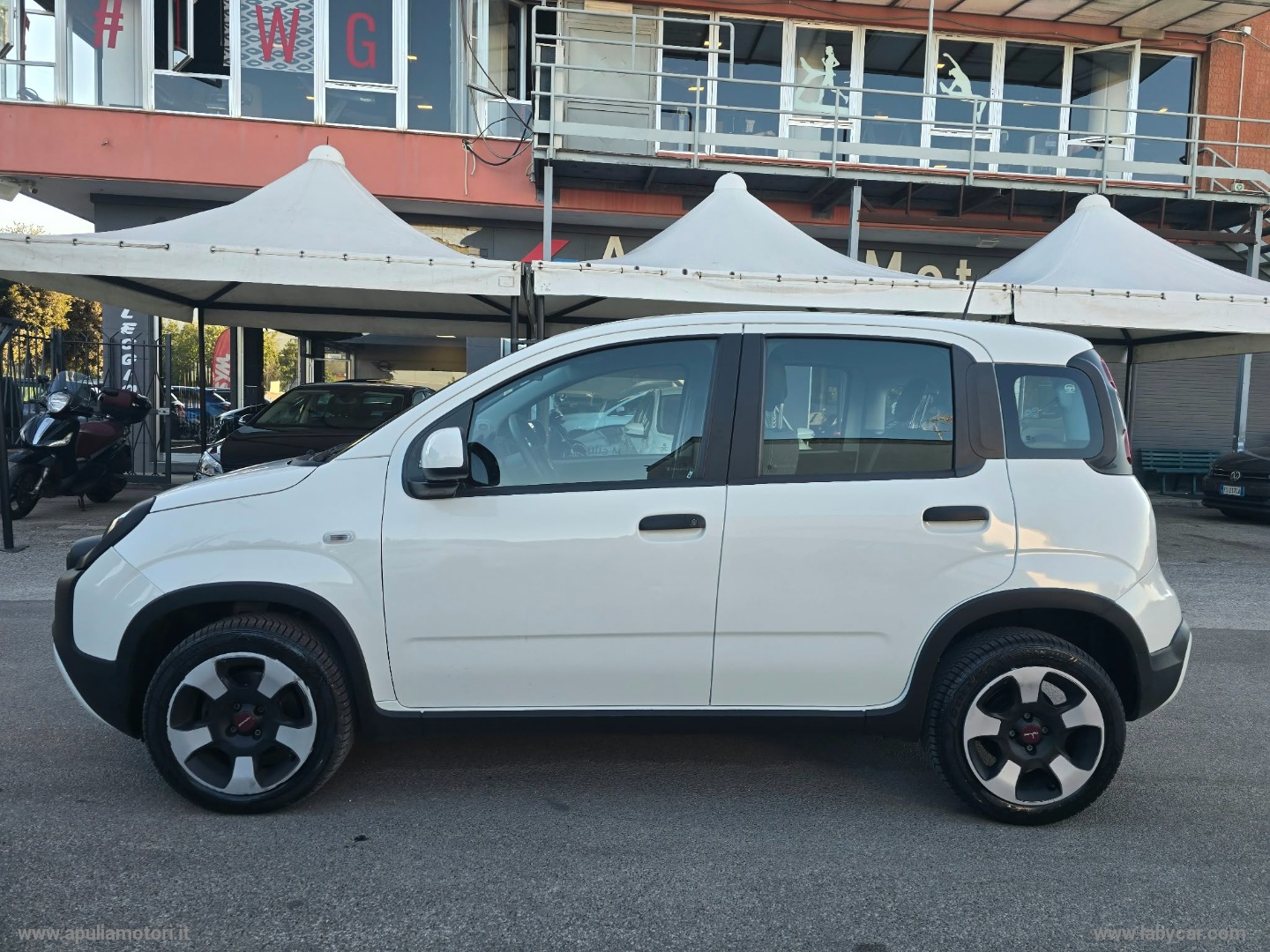 Panda Cross 1.0 FireFly S&S Hybrid - immagine 4