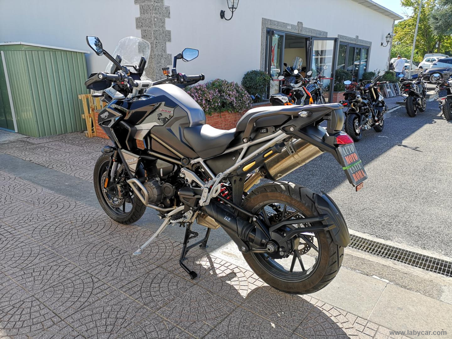 Tiger 1200 GT EXPLORER PROMO WEB - immagine 4