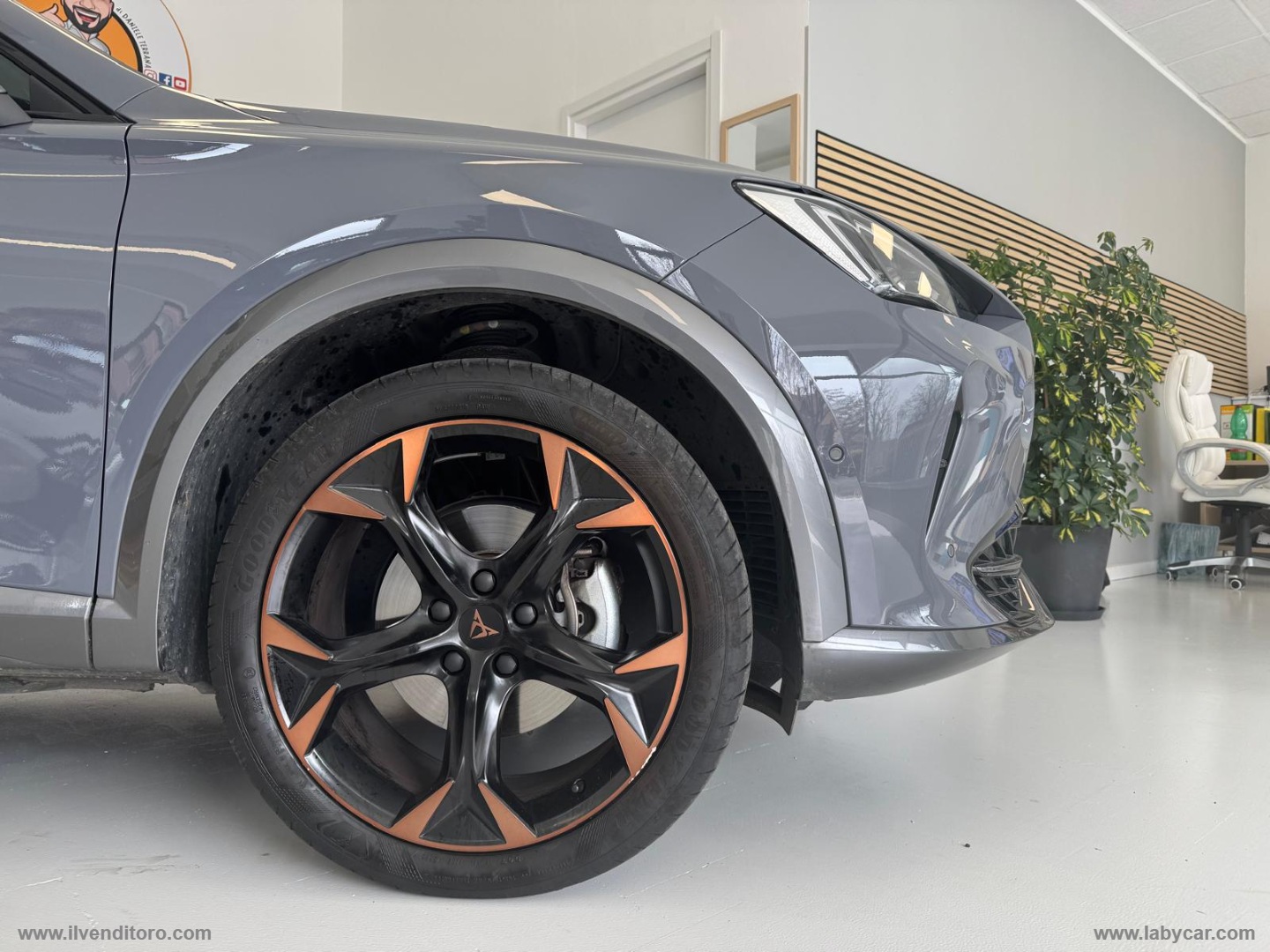 Formentor 1.5 TSI DSG - immagine 4