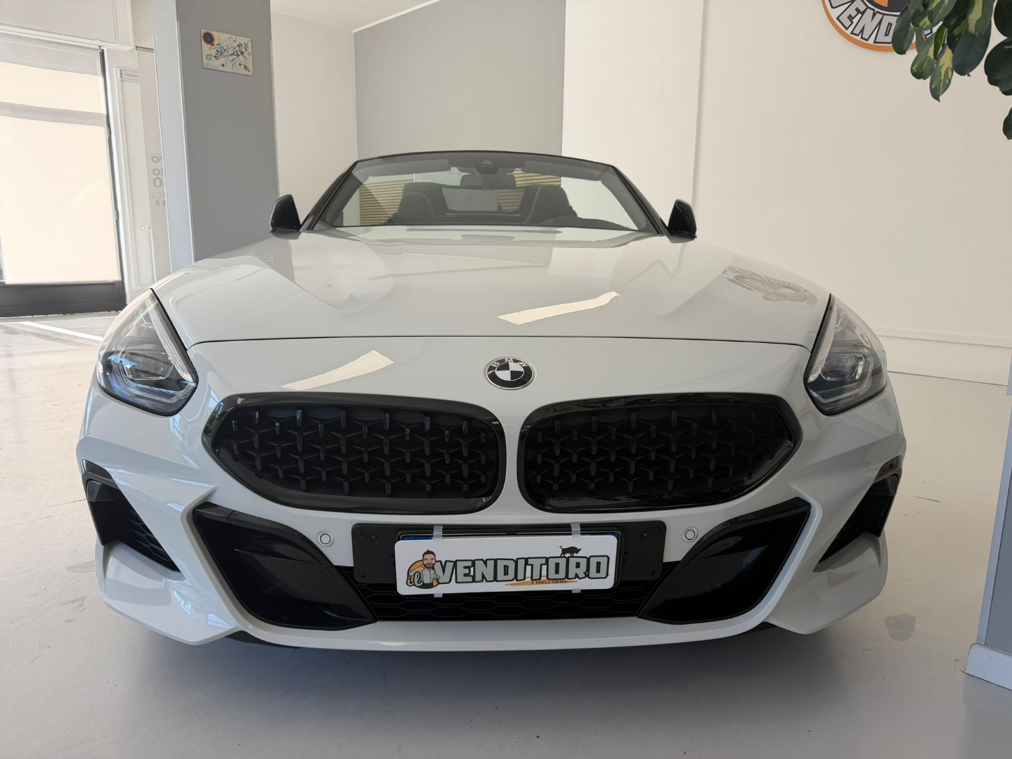 Z4 sDrive20i Msport - immagine 4
