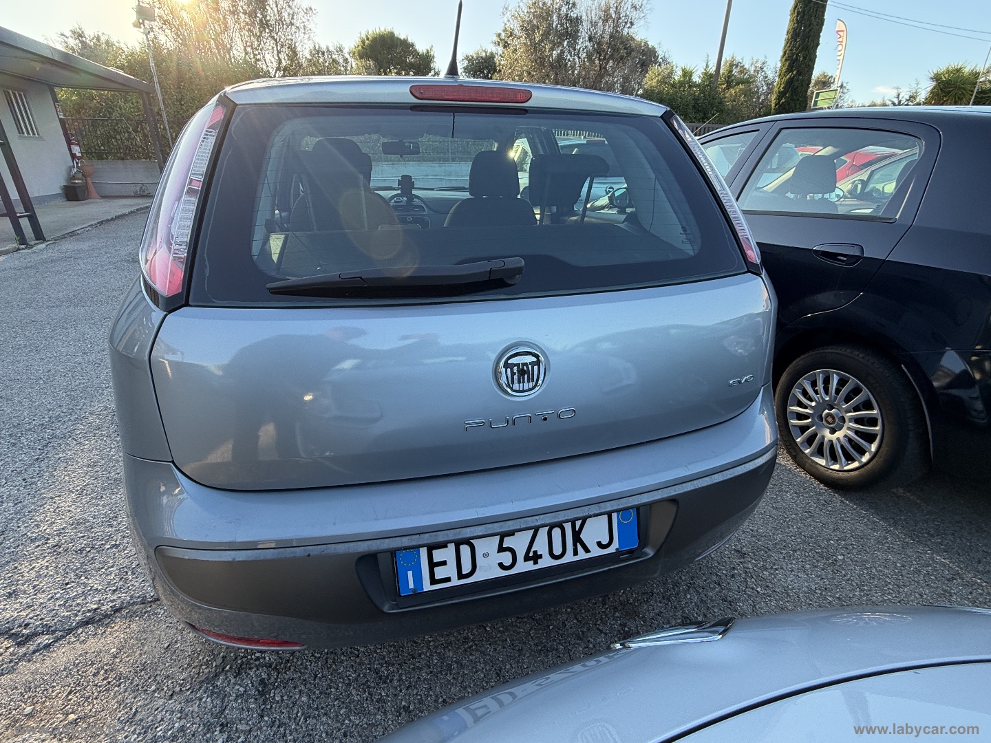 Punto Evo 1.2 5p. Dynamic - immagine 4