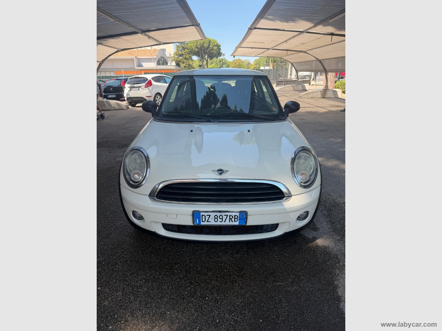 Mini Ray - immagine 4