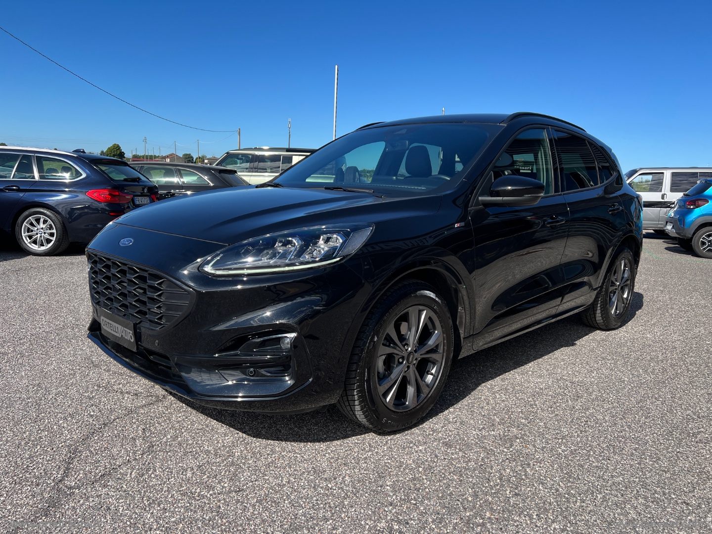 Kuga 1.5 EcoBlue 120 CV aut. 2WD ST-Line N1 AUTOCARRO +IVA - immagine 5