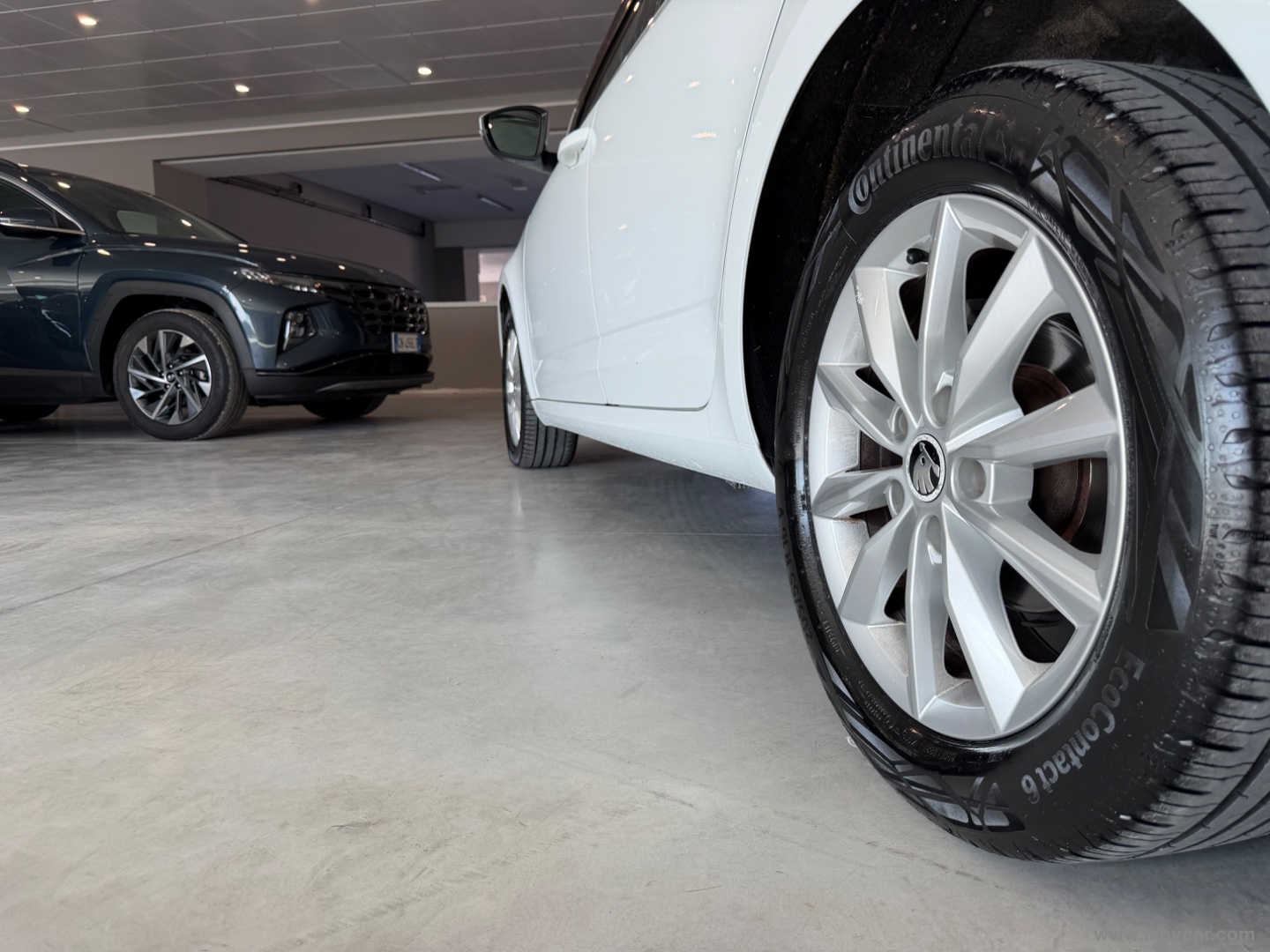 Octavia 1.6 TDI CR 110 CV Wagon Ambition - immagine 5