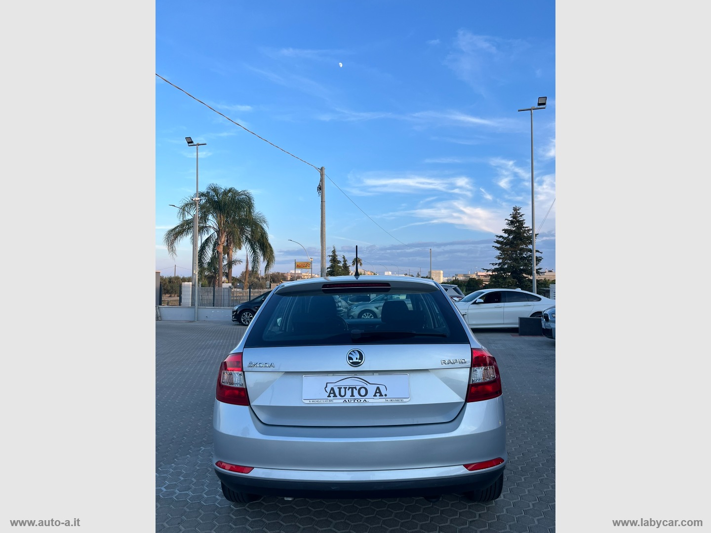 Rapid 1.6 TDI CR 90 CV Executive - immagine 5