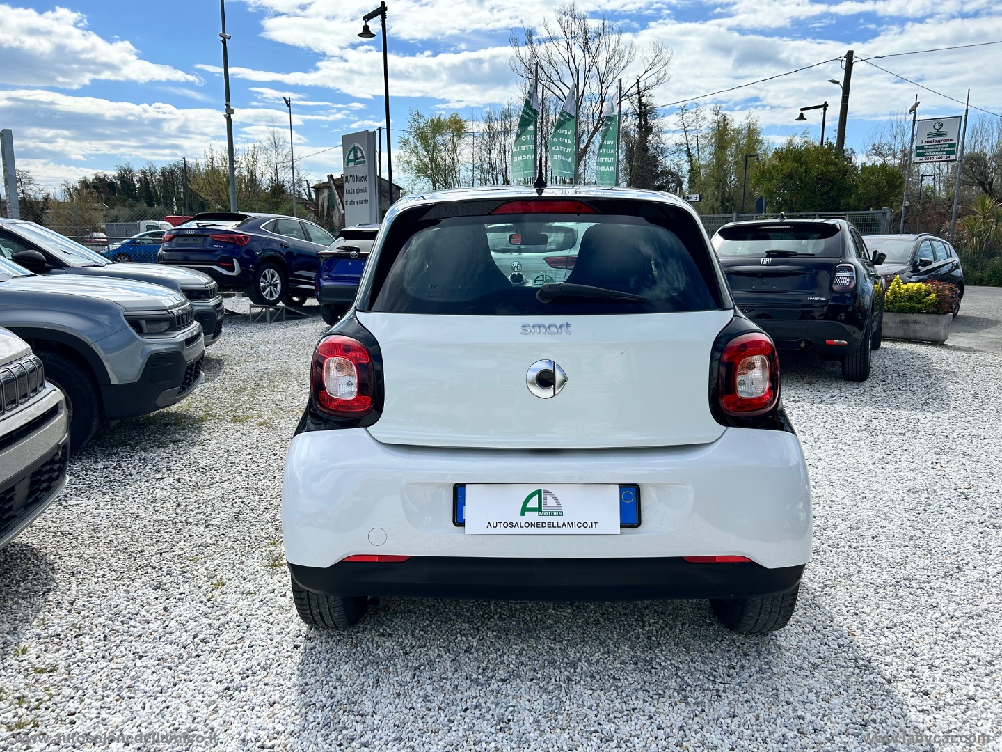 Img Particolare 04