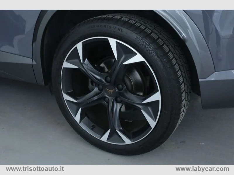 Formentor 2.0 TSI 190CV 4Drive DSG - immagine 5