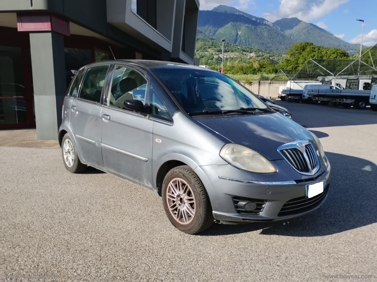 Musa 1.4 BZ/GPL Oro - immagine 5