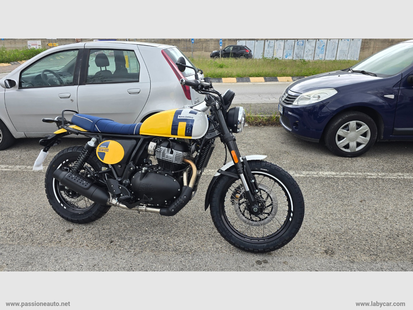 BEAR 650 LIMITED EDITION - immagine 5