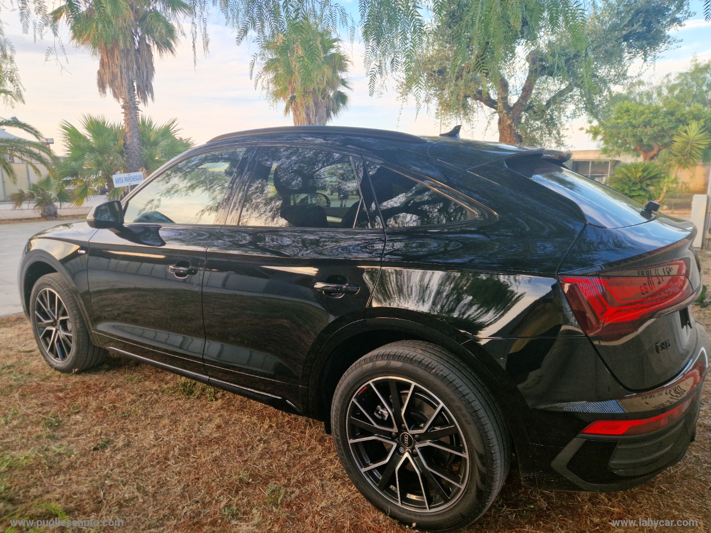 Q5 SPB 40 TDI quattro S tronic S line TETTO - immagine 5