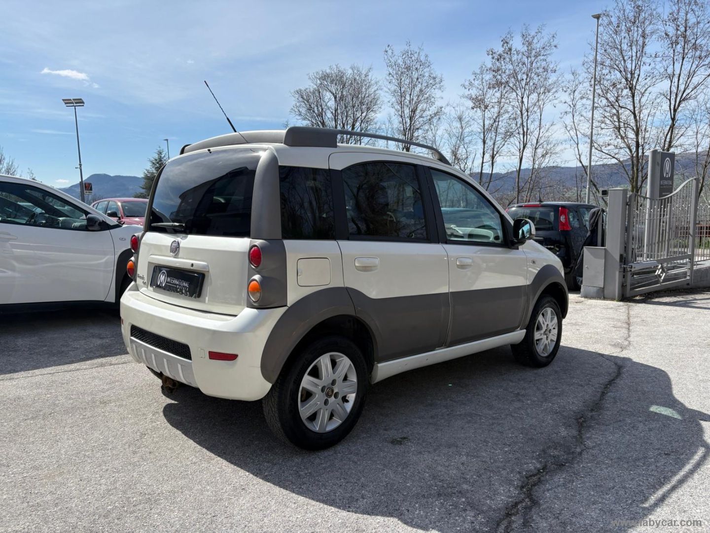 Panda 1.3 MJT 16V 4x4 Cross - immagine 5