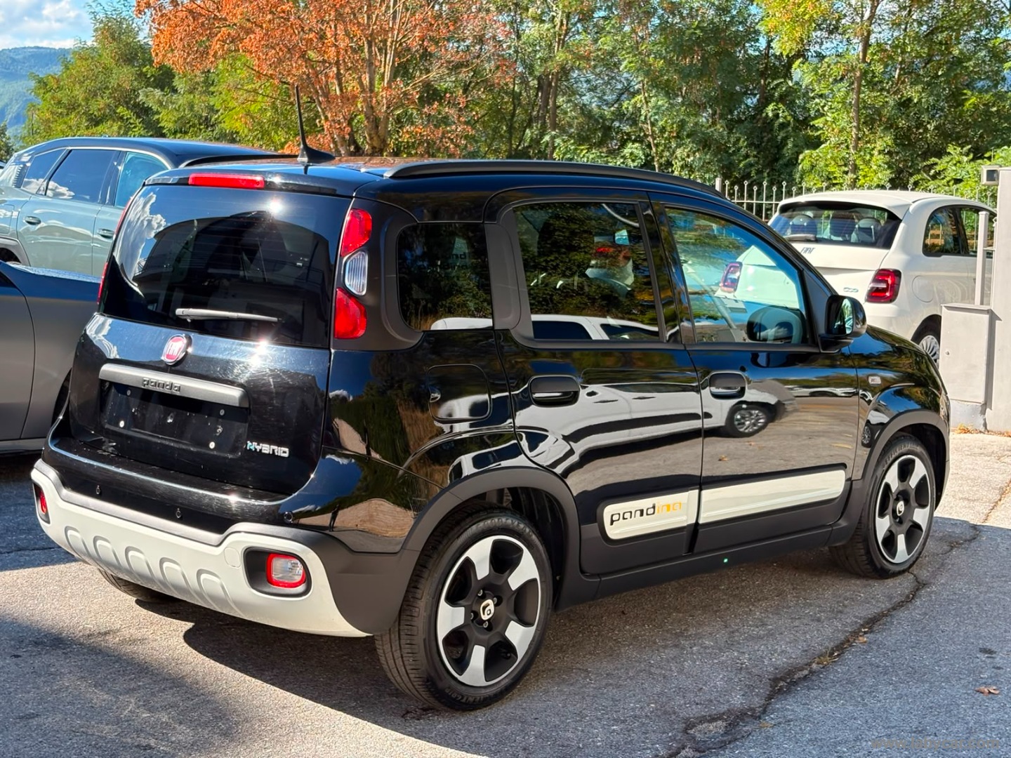 Fiat Panda 1.0 FireFly S&S Hybrid Pandina - Immagine 5