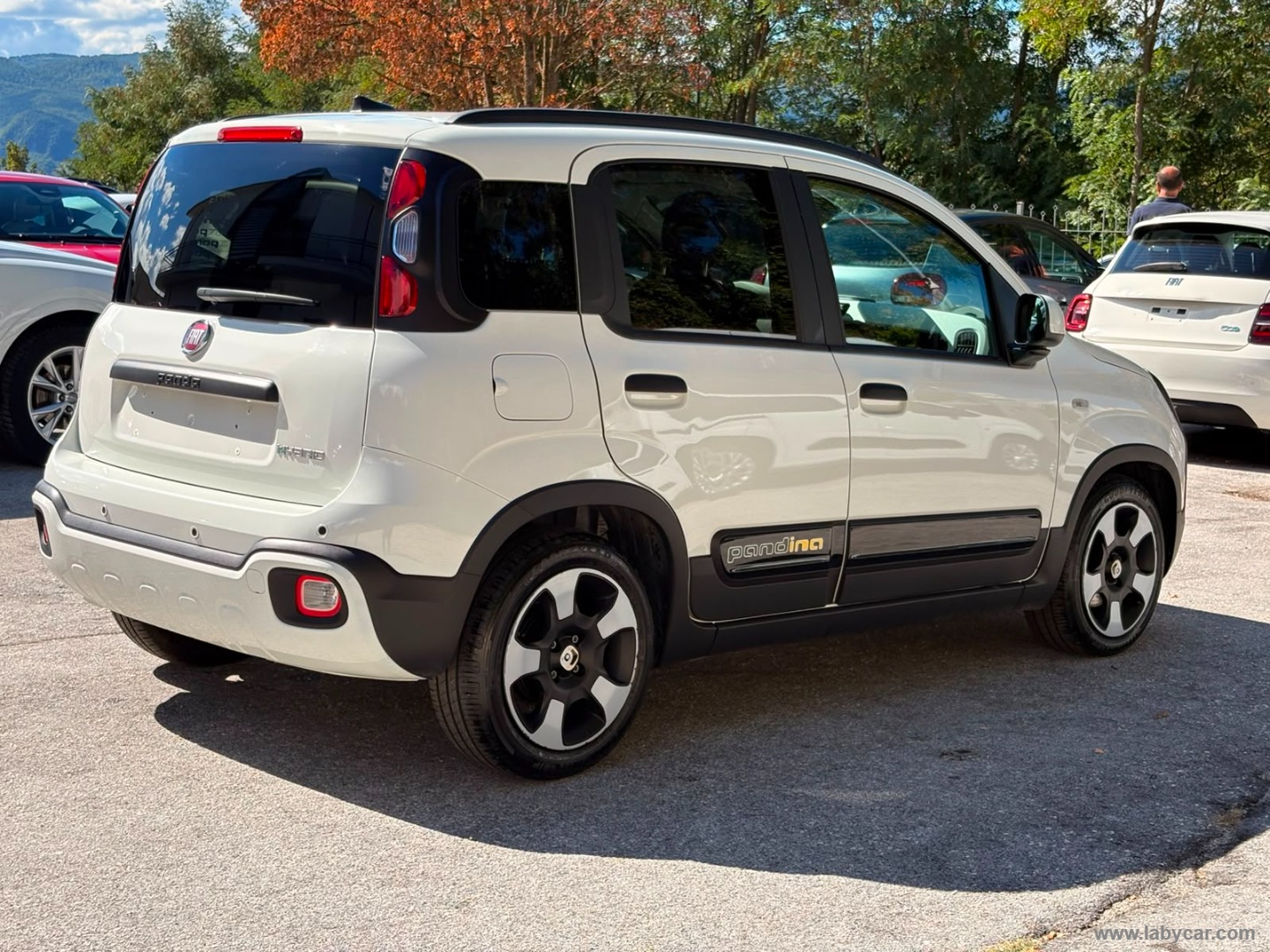 Fiat Panda 1.0 FireFly S&S Hybrid Pandina - Immagine 5