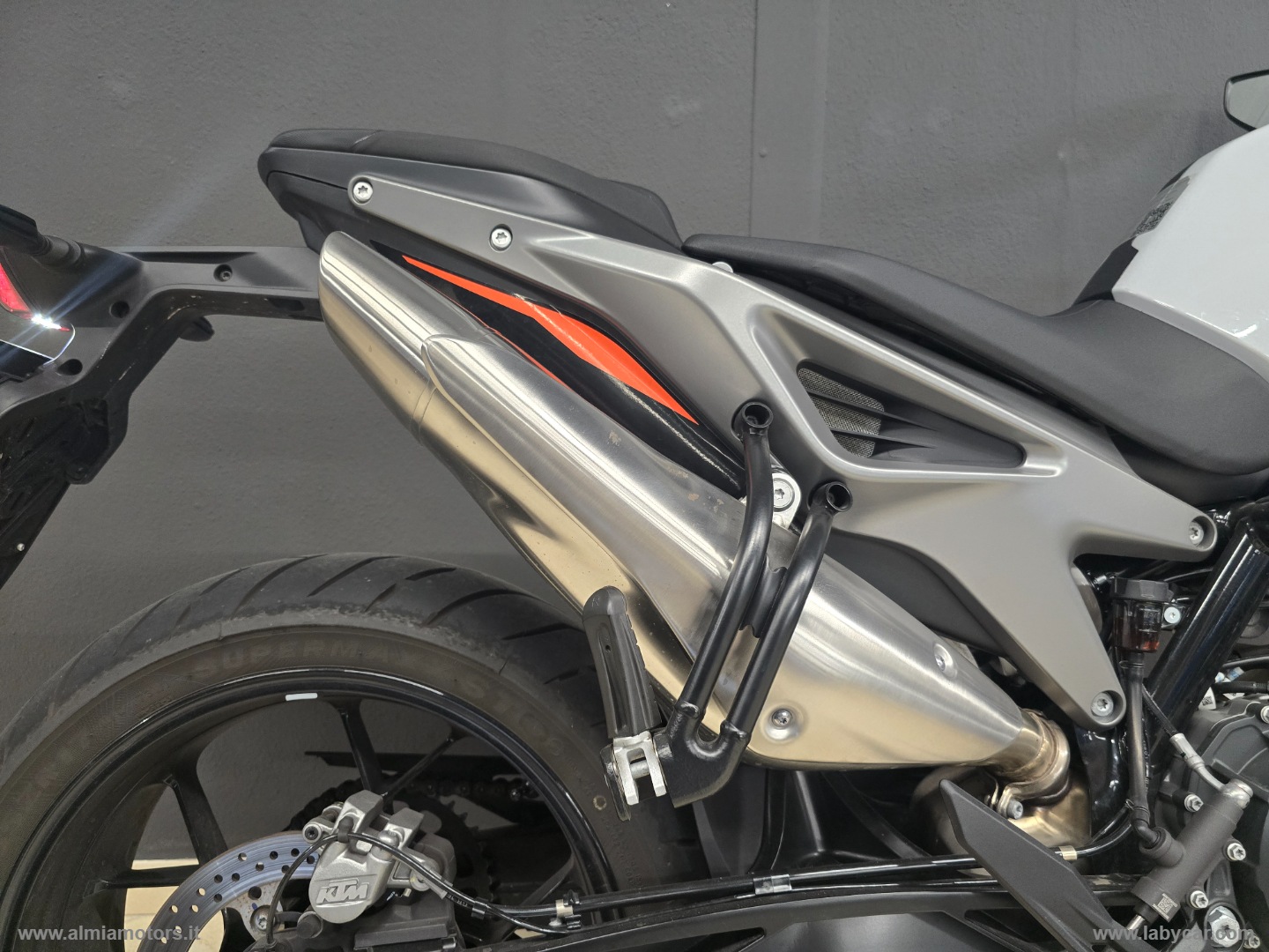 790 DUKE L - immagine 5