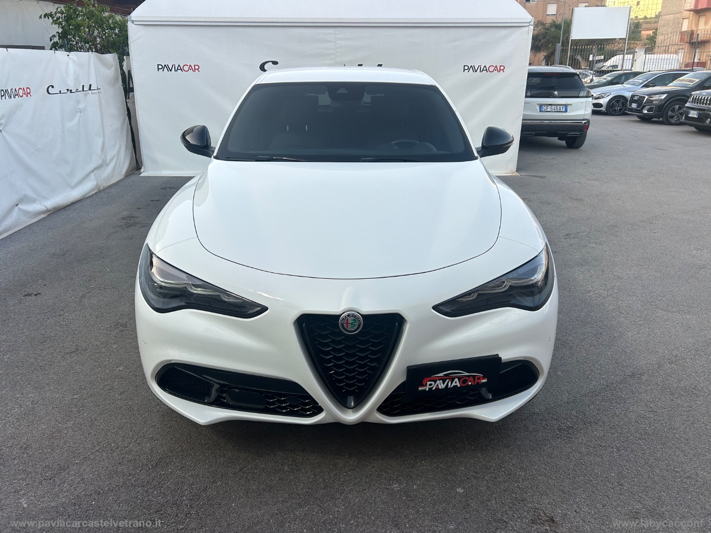 Stelvio 2.2 T.diesel 210CV AT8 Q4 Veloce - immagine 5