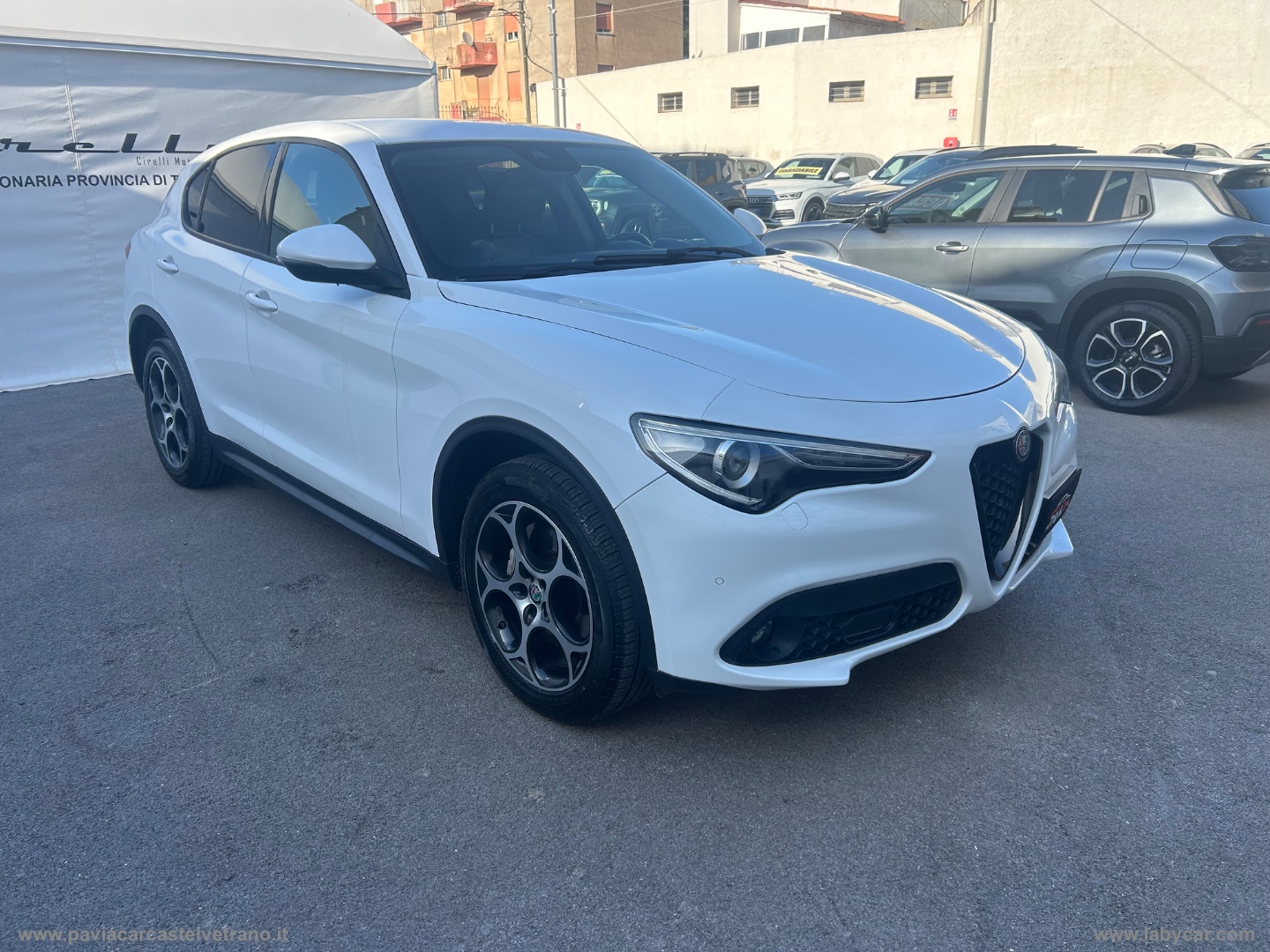 Stelvio 2.2 T.diesel 210 CV AT8 Q4 Sp.Ed - immagine 5