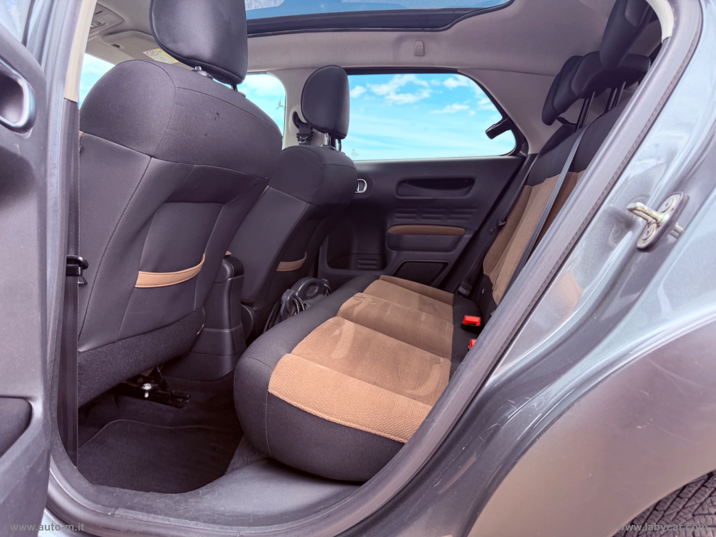 C4 Cactus BlueHDi 100 Shine - immagine 5