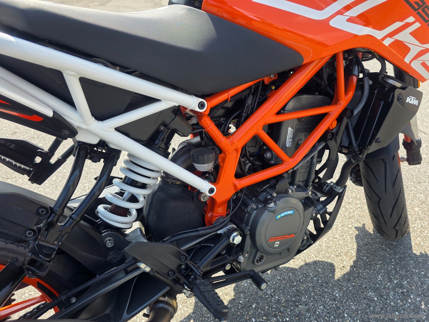 390 Duke - immagine 5