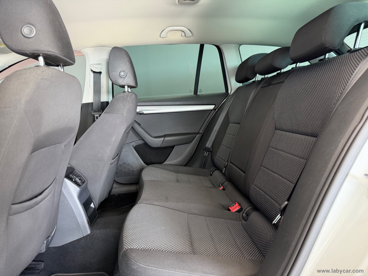 Octavia 1.6 TDI CR 110 CV Wagon Ambition - immagine 6