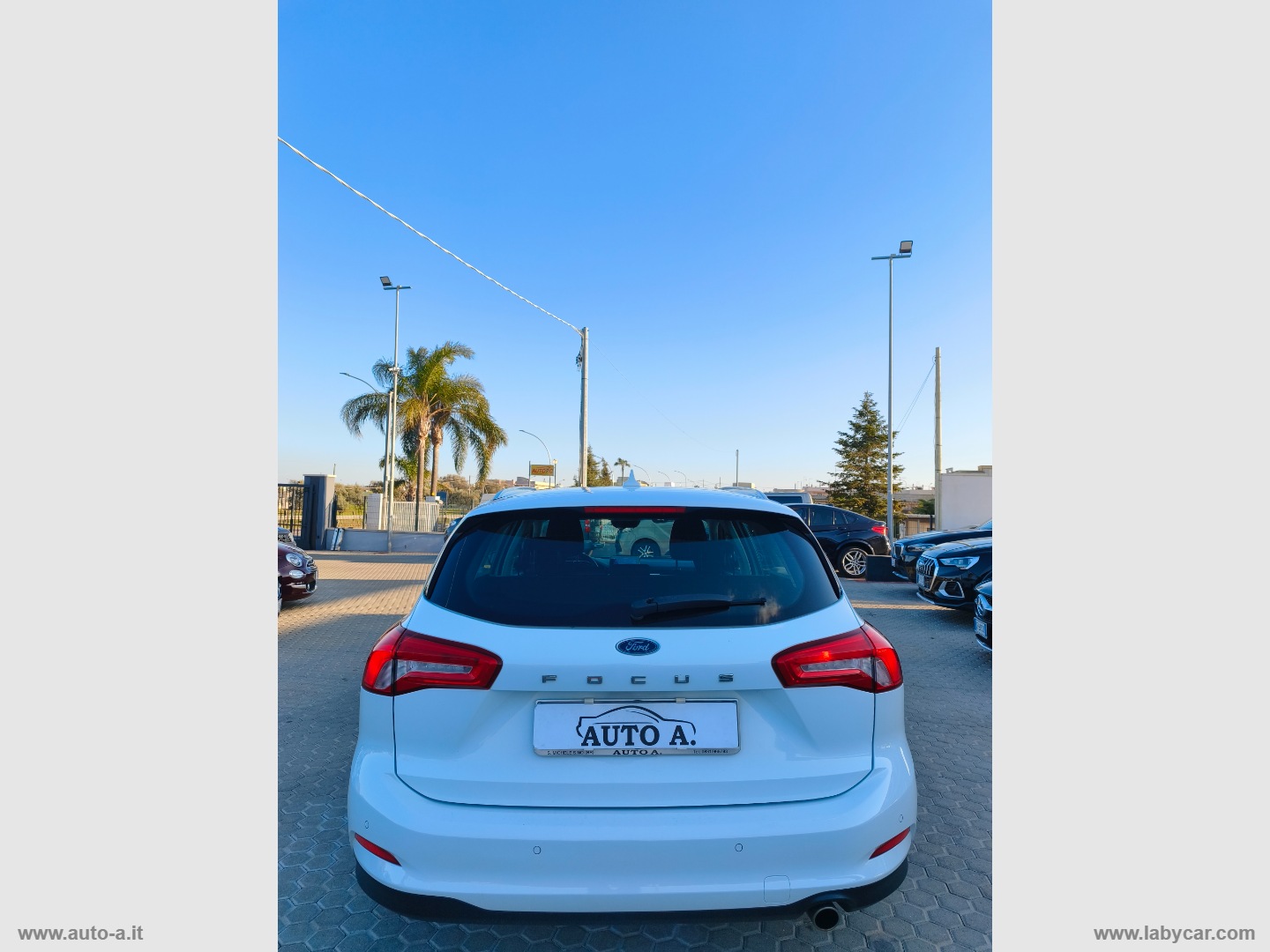 Focus 1.5 EcoBlue 120CV SW Business - immagine 6