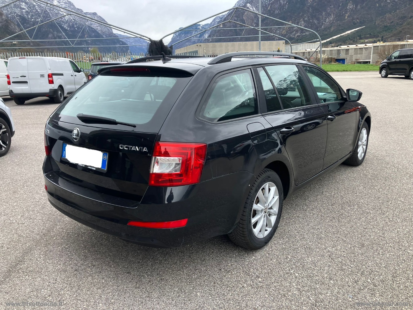 Octavia 1.6 TDI CR 105 DSG W. Executive - immagine 6