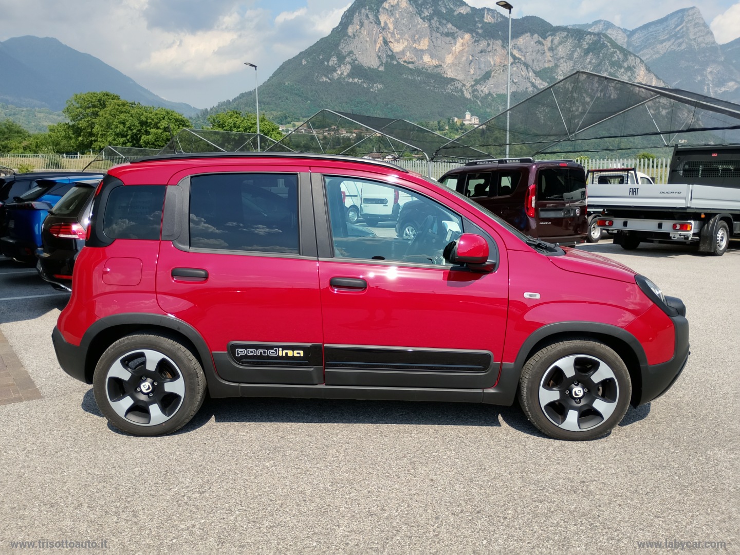 Panda 1.0 FireFly Hybrid 70CV Pandina Cross VARI COLORI - immagine 6